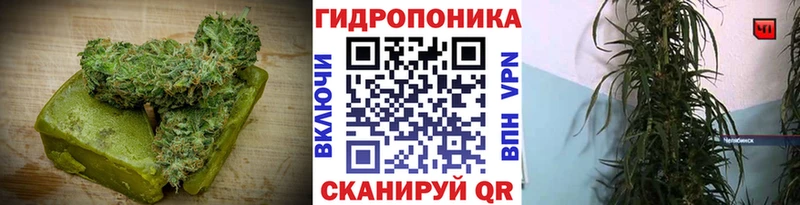 наркота omg онион Еда ТГК марихуана Орлов