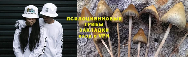 Альфа ПВП Балабаново