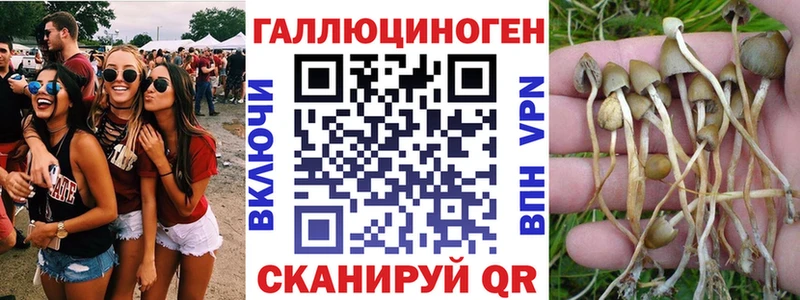 Псилоцибиновые грибы мухоморы  купить наркоту  Орлов 